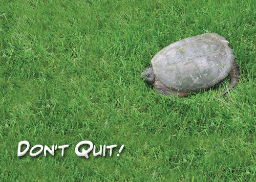 Don't Quit Greeting Card