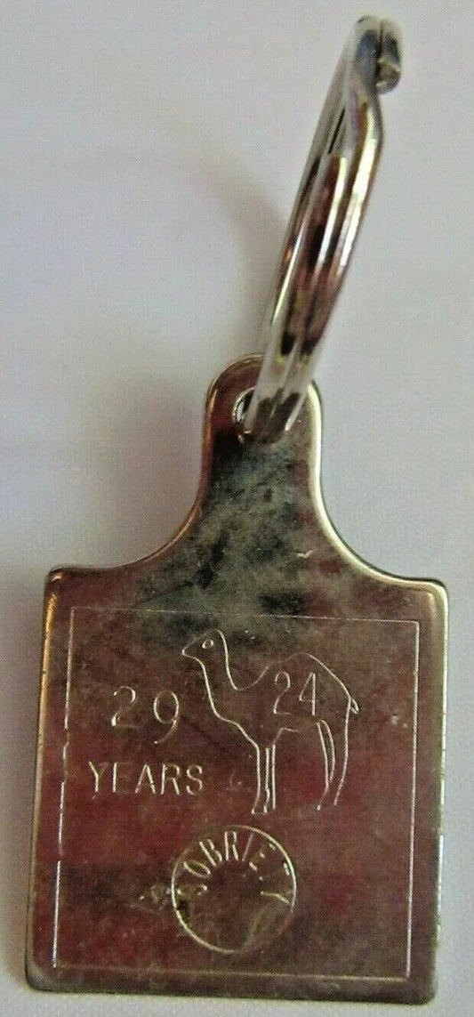 Camel Key Tags - Meeting Chip