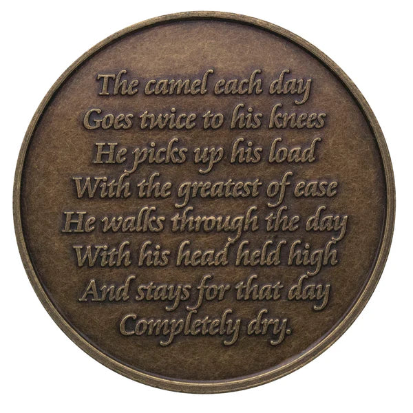 Camel - Easy Does It - One Day At A Time Bronze Coin/Medallion