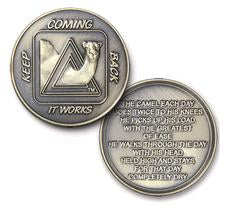 Sober Camel Coin/Medallion