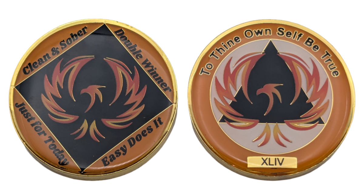 Double Winner Double Winner (AA/NA) Phoenix Medallion (Years 1 - 50) – Easy Does It