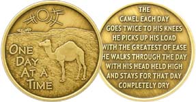 Camel Poem Bronze Coin/Medallion